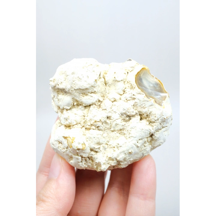 Multicolor Merlinite Dendritic Opal Half | Yumuşak Mavi-Gri, Altın ve Amber Evrensel Göz Numune