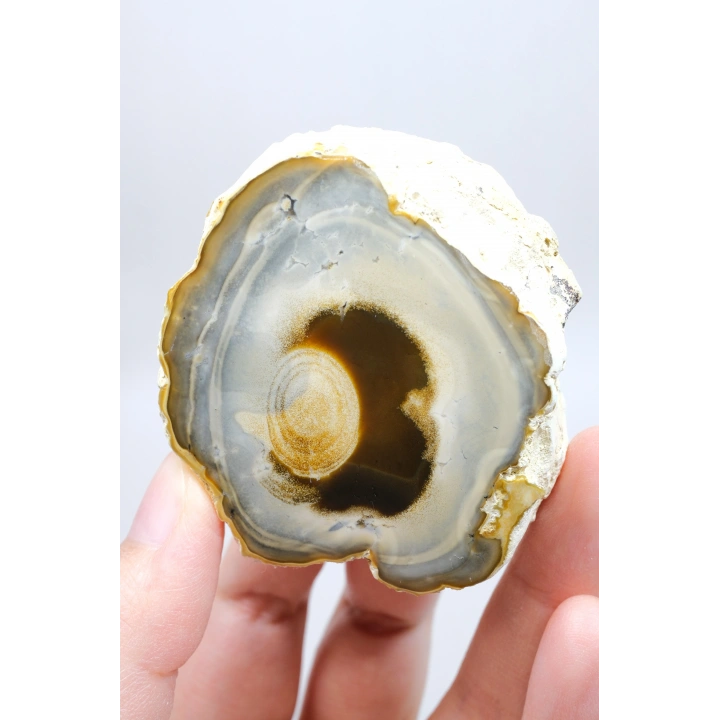 Multicolor Merlinite Dendritic Opal Half | Yumuşak Mavi-Gri, Altın ve Amber Evrensel Göz Numune