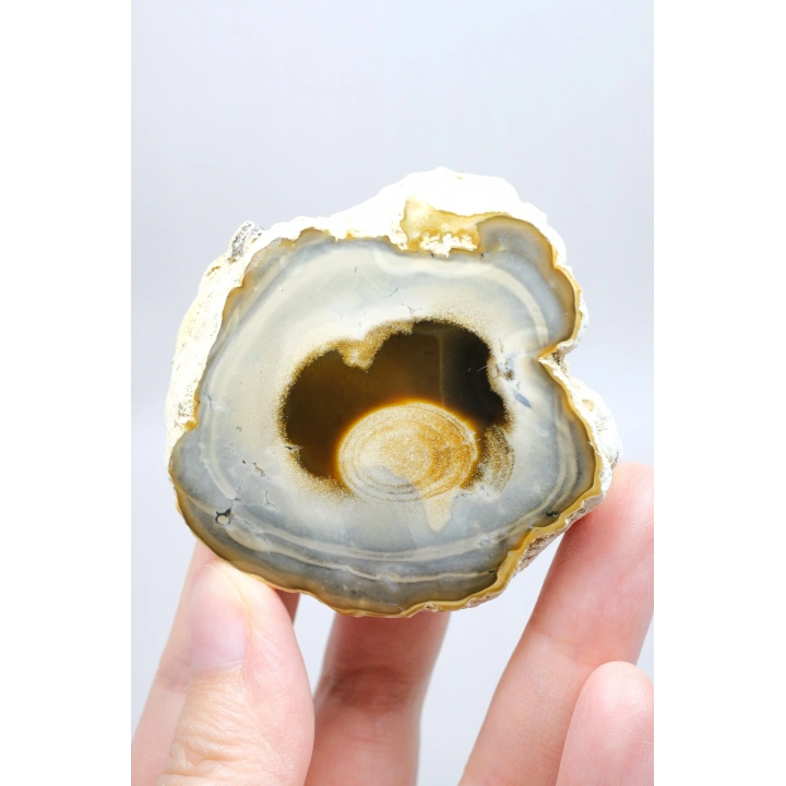 Multicolor Merlinite Dendritic Opal Half | Yumuşak Mavi-Gri, Altın ve Amber Evrensel Göz Numune