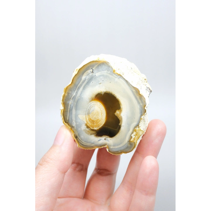 Multicolor Merlinite Dendritic Opal Half | Yumuşak Mavi-Gri, Altın ve Amber Evrensel Göz Numune