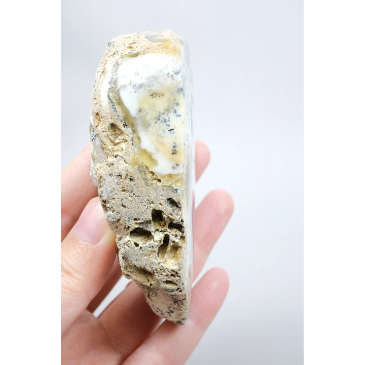 Çok renkli Merlinit Levha - Denz Opalı ile Dumansı Gri Çekirdek ve Sarı Bantlama, 181g