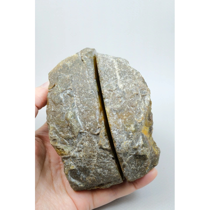 Hardal Altın ve Kahverengi Şeritli Siyah Deniz Agatesi Çifti, Tüylü İçerikler İle
