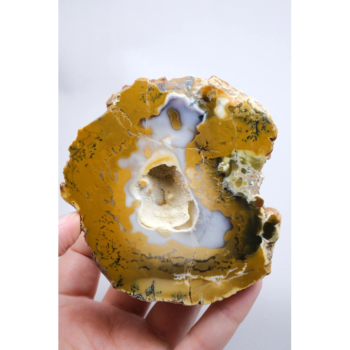 Hardal Sarısı ve Süt Beyazı Merlinite Çifti (Dendritik Opal) ile Kar Beyazı Jeot, 695g
