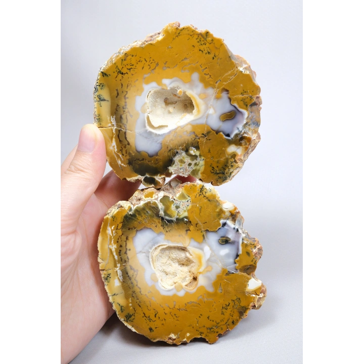 Hardal Sarısı ve Süt Beyazı Merlinite Çifti (Dendritik Opal) ile Kar Beyazı Jeot, 695g