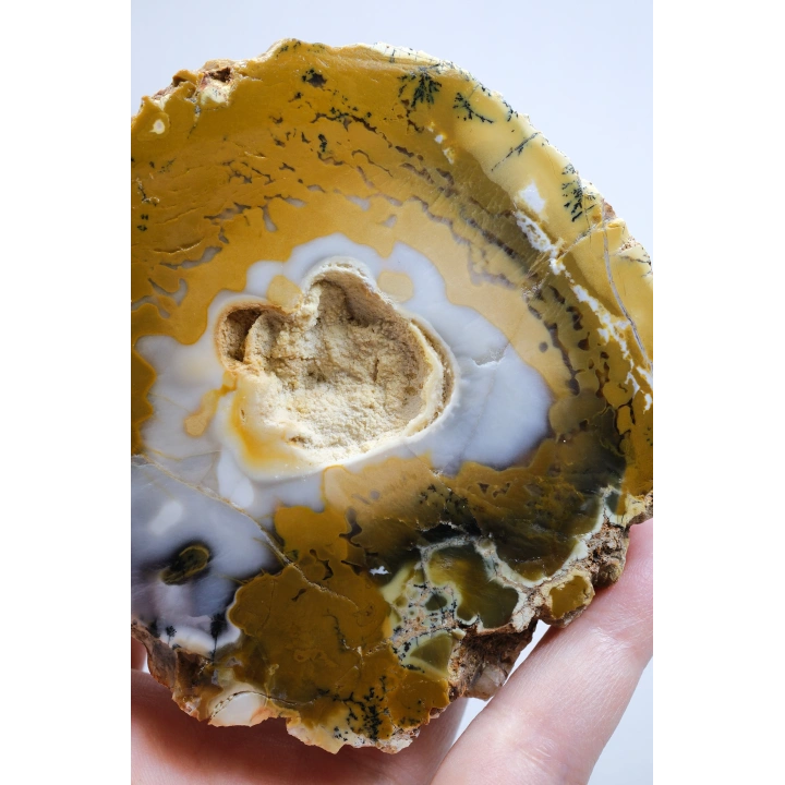 Hardal Sarısı ve Süt Beyazı Merlinite Çifti (Dendritik Opal) ile Kar Beyazı Jeot, 695g
