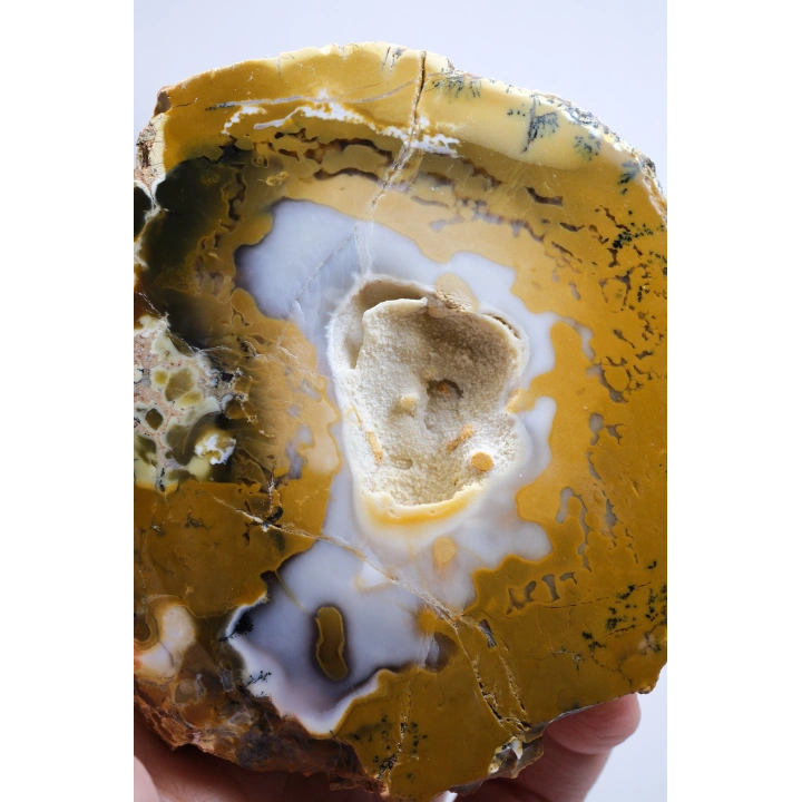Hardal Sarısı ve Süt Beyazı Merlinite Çifti (Dendritik Opal) ile Kar Beyazı Jeot, 695g