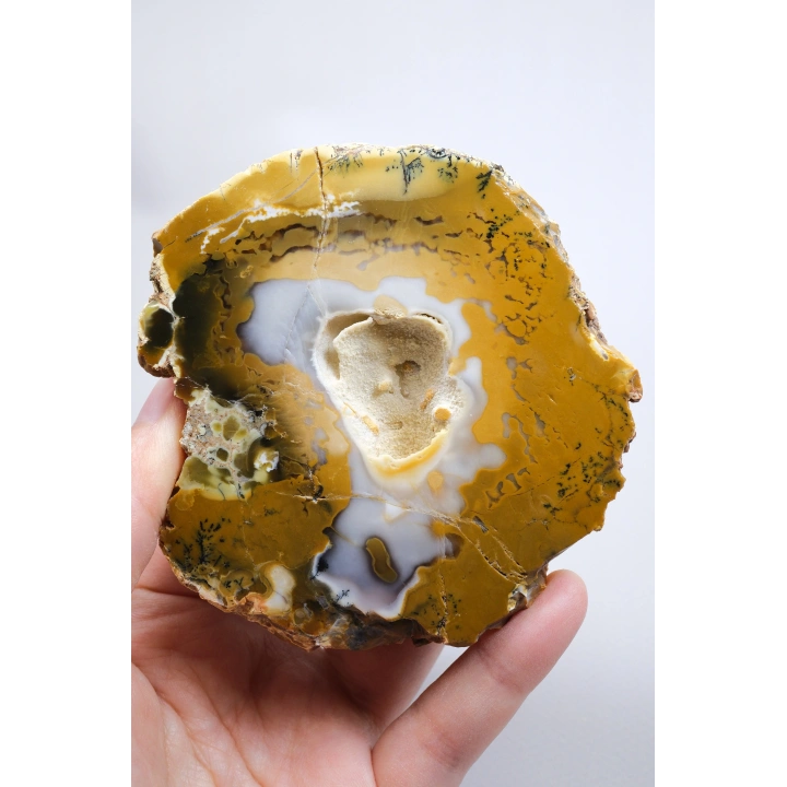 Hardal Sarısı ve Süt Beyazı Merlinite Çifti (Dendritik Opal) ile Kar Beyazı Jeot, 695g