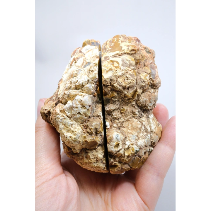 Hardal Sarısı ve Süt Beyazı Merlinite Çifti (Dendritik Opal) ile Kar Beyazı Jeot, 695g