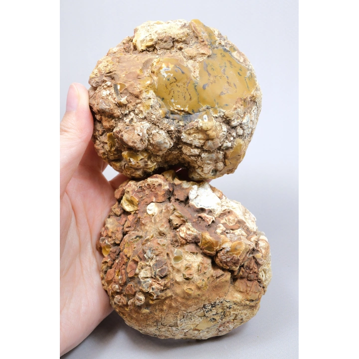 Hardal Sarısı ve Süt Beyazı Merlinite Çifti (Dendritik Opal) ile Kar Beyazı Jeot, 695g