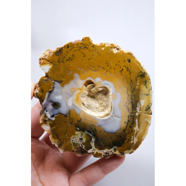 Hardal Sarısı ve Süt Beyazı Merlinite Çifti (Dendritik Opal) ile Kar Beyazı Jeot, 695g