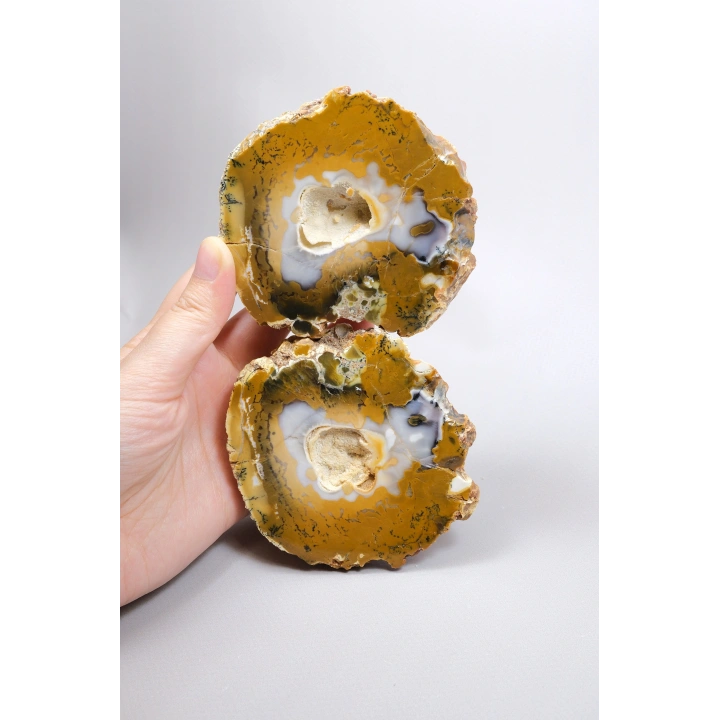 Hardal Sarısı ve Süt Beyazı Merlinite Çifti (Dendritik Opal) ile Kar Beyazı Jeot, 695g