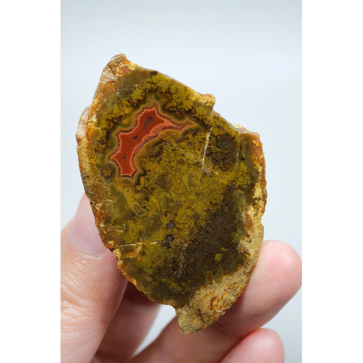 Hardal Sarısı ve Zeytin Yeşili Karadeniz Çiçeği Akik