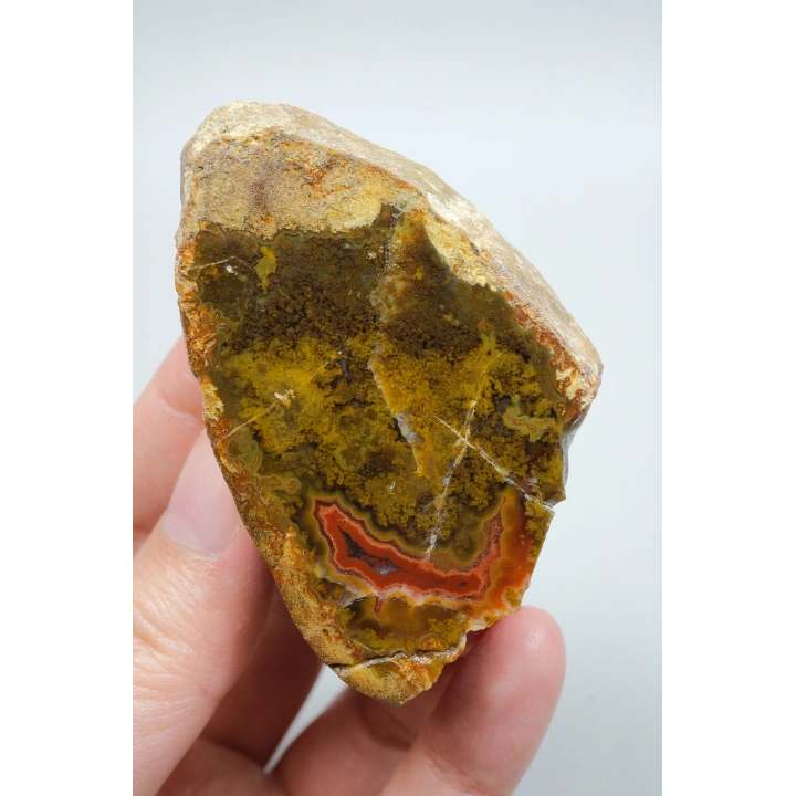 Hardal Sarısı ve Zeytin Yeşili Karadeniz Çiçeği Akik