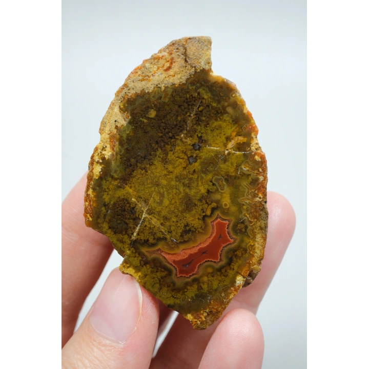 Hardal Sarısı ve Zeytin Yeşili Karadeniz Çiçeği Akik