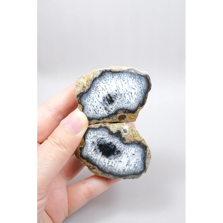 Mistik Bölünme: Dendritik Opal ve Dendritik Agat - Merlinite Harikaları!