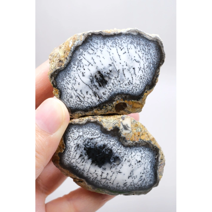 Mistik Bölünme: Dendritik Opal ve Dendritik Agat - Merlinite Harikaları!
