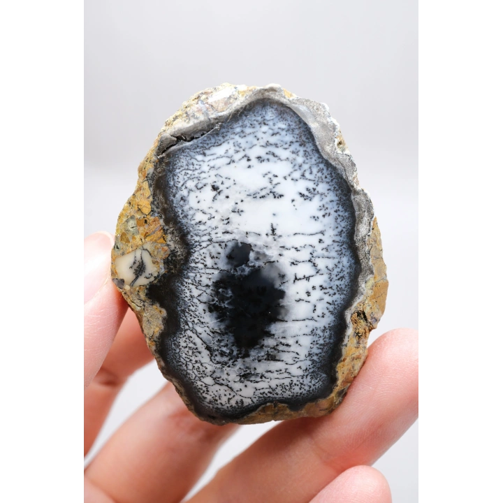 Mistik Bölünme: Dendritik Opal ve Dendritik Agat - Merlinite Harikaları!