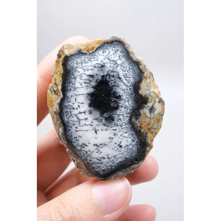 Mistik Bölünme: Dendritik Opal ve Dendritik Agat - Merlinite Harikaları!