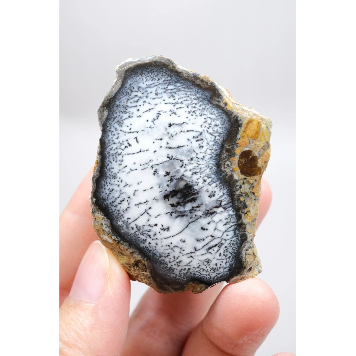 Mistik Bölünme: Dendritik Opal ve Dendritik Agat - Merlinite Harikaları!