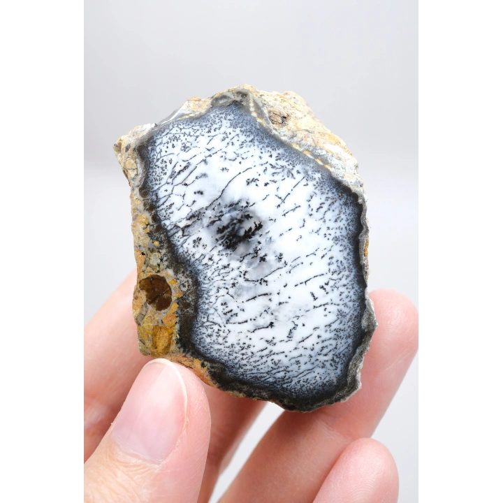 Mistik Bölünme: Dendritik Opal ve Dendritik Agat - Merlinite Harikaları!