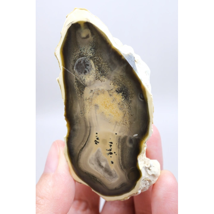 Doğal Kahverengi Dendritik Opal Merlinit Dilimi - Topraksı Kahve & Krem Cila Taşı, 87g