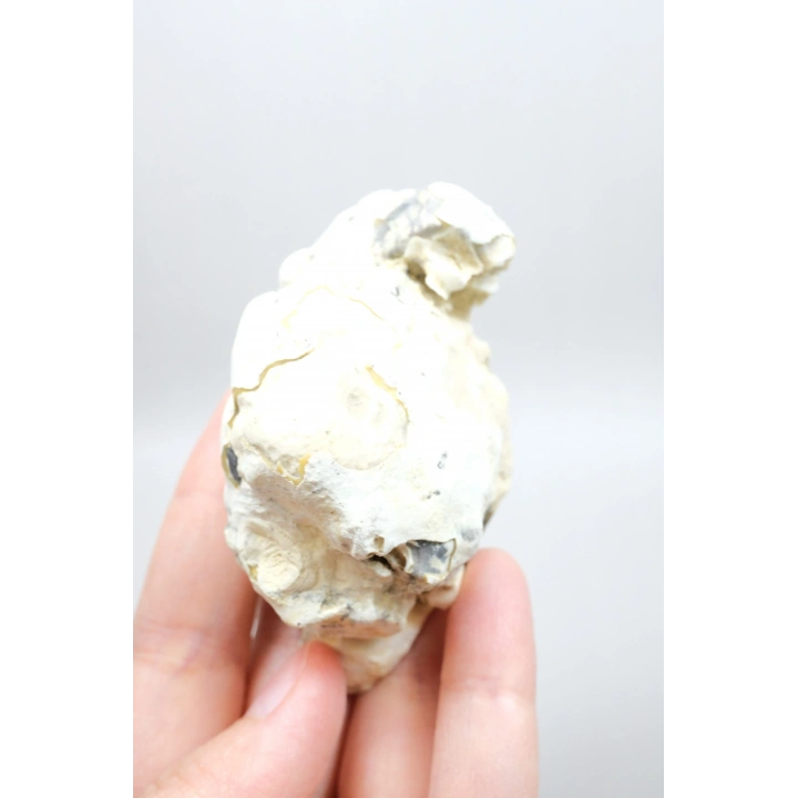 Doğal Kahverengi Dendritik Opal Merlinit Dilimi - Topraksı Kahve & Krem Cila Taşı, 87g