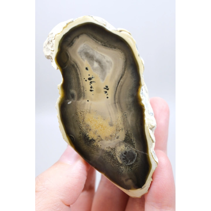 Doğal Kahverengi Dendritik Opal Merlinit Dilimi - Topraksı Kahve & Krem Cila Taşı, 87g