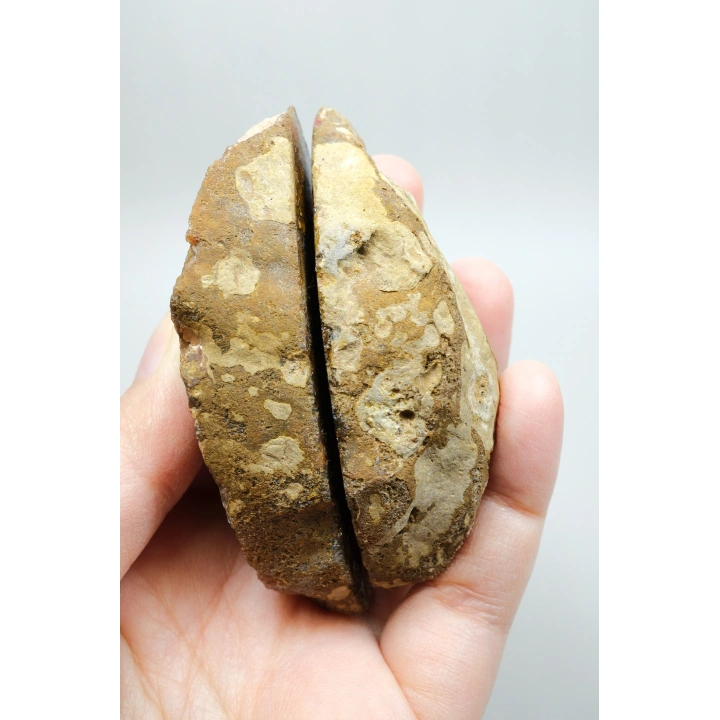 Süslü Altın Oker ve Bronz Tüy Siyah Deniz Akik Taşı ile Yumuşak Pembe Surlar