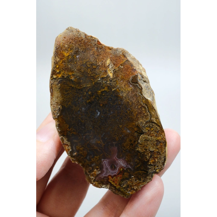 Süslü Altın Oker ve Bronz Tüy Siyah Deniz Akik Taşı ile Yumuşak Pembe Surlar