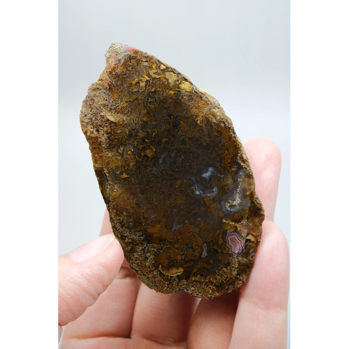 Süslü Altın Oker ve Bronz Tüy Siyah Deniz Akik Taşı ile Yumuşak Pembe Surlar