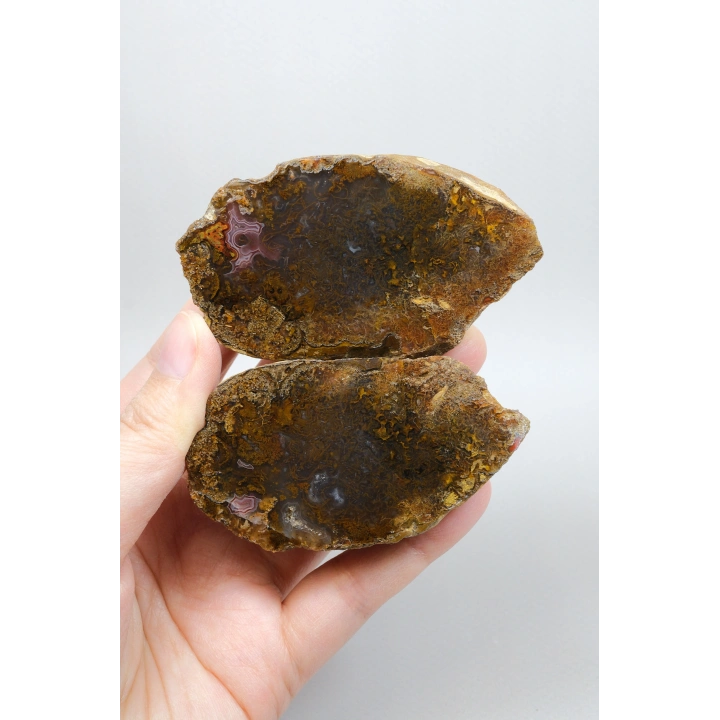 Süslü Altın Oker ve Bronz Tüy Siyah Deniz Akik Taşı ile Yumuşak Pembe Surlar