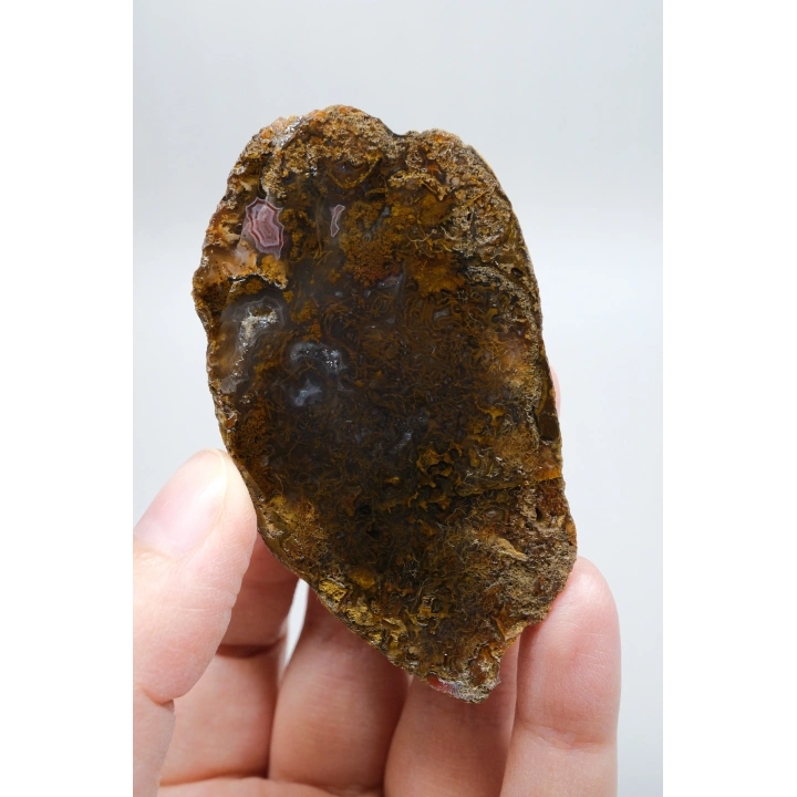 Süslü Altın Oker ve Bronz Tüy Siyah Deniz Akik Taşı ile Yumuşak Pembe Surlar