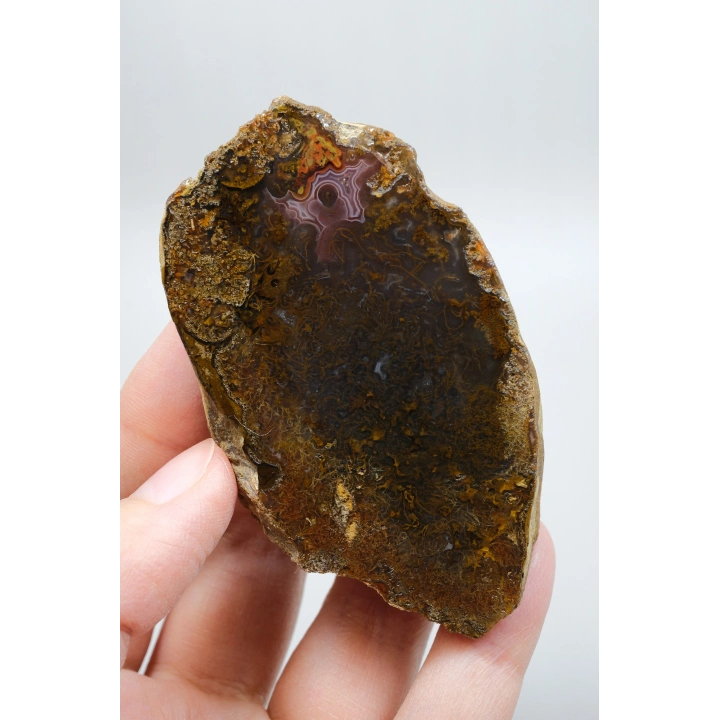 Süslü Altın Oker ve Bronz Tüy Siyah Deniz Akik Taşı ile Yumuşak Pembe Surlar