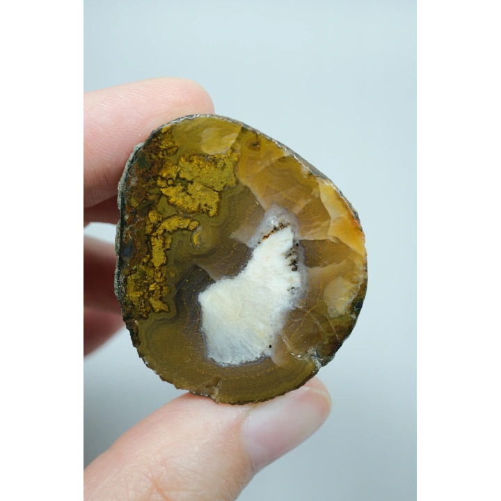 Pareja de Plumitas de Ágata Pulida del Mar Negro, Amarillo Ocre, Abanico Blanco y Dorado Mostaza