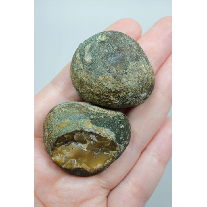 Pareja de Plumitas de Ágata Pulida del Mar Negro, Amarillo Ocre, Abanico Blanco y Dorado Mostaza