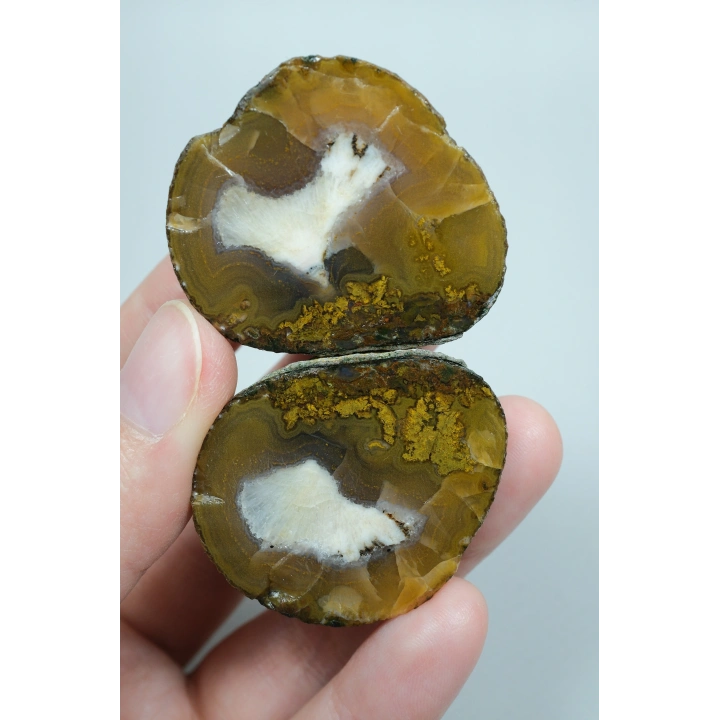 Pareja de Plumitas de Ágata Pulida del Mar Negro, Amarillo Ocre, Abanico Blanco y Dorado Mostaza