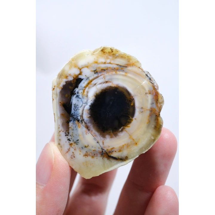 光沢のあるデントリティックオパールペア - 同心円状のバンディングとスモーキーコア、錆色のデンドライト、77g