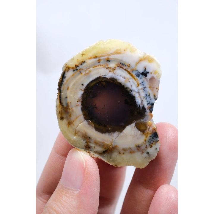 光沢のあるデントリティックオパールペア - 同心円状のバンディングとスモーキーコア、錆色のデンドライト、77g