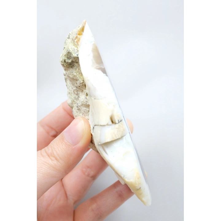 Cilalı Bal, Lila ve Gökyüzü Mavisi Merlinit / Dendritik Opal ile Siyah Dendritler, 200g