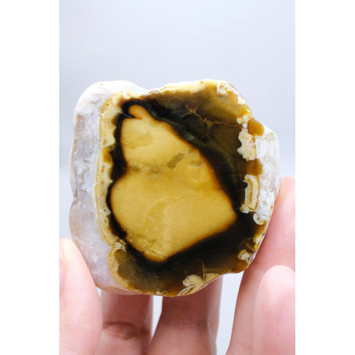 Polished Honey Merlinite Slice - Rare Golden Dendritic Opal Heart, 87g