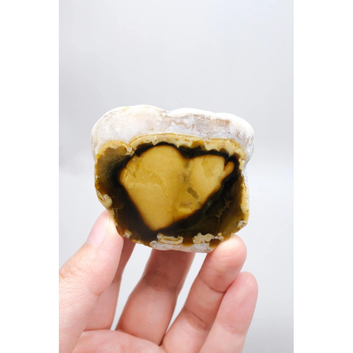 Polished Honey Merlinite Slice - Rare Golden Dendritic Opal Heart, 87g