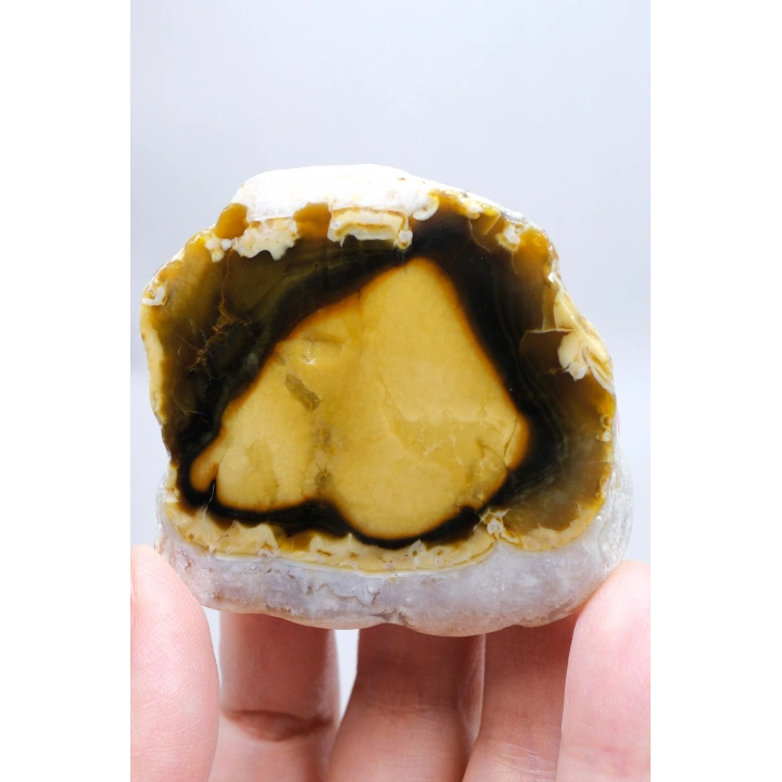 Polished Honey Merlinite Slice - Rare Golden Dendritic Opal Heart, 87g