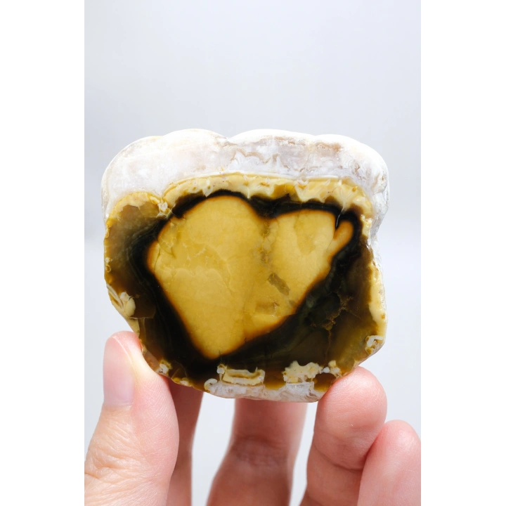 Polished Honey Merlinite Slice - Rare Golden Dendritic Opal Heart, 87g