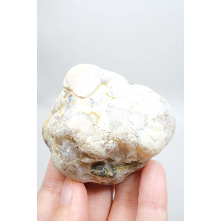 Polished Honey Merlinite Slice - Rare Golden Dendritic Opal Heart, 87g