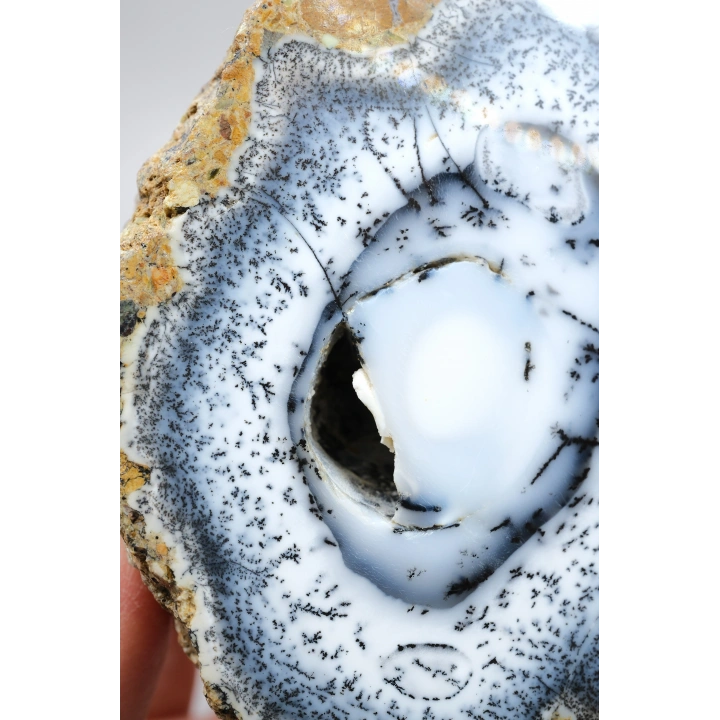 Polished Merlinite Geode - Opale Dendritique avec Bande Bleue & Cavité Centrale Druzy, 194g