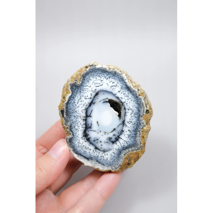 Polished Merlinite Geode - Opale Dendritique avec Bande Bleue & Cavité Centrale Druzy, 194g