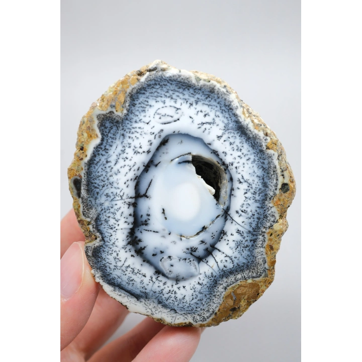 Polished Merlinite Geode - Opale Dendritique avec Bande Bleue & Cavité Centrale Druzy, 194g