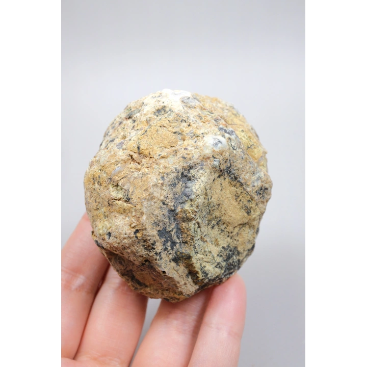 Polished Merlinite Geode - Opale Dendritique avec Bande Bleue & Cavité Centrale Druzy, 194g