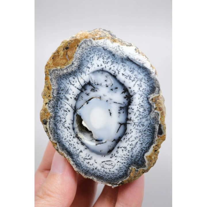 Polished Merlinite Geode - Opale Dendritique avec Bande Bleue & Cavité Centrale Druzy, 194g