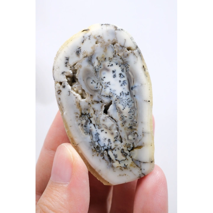 白瓷和石板灰色的梅林岩 - 树枝状蛋白石，69克